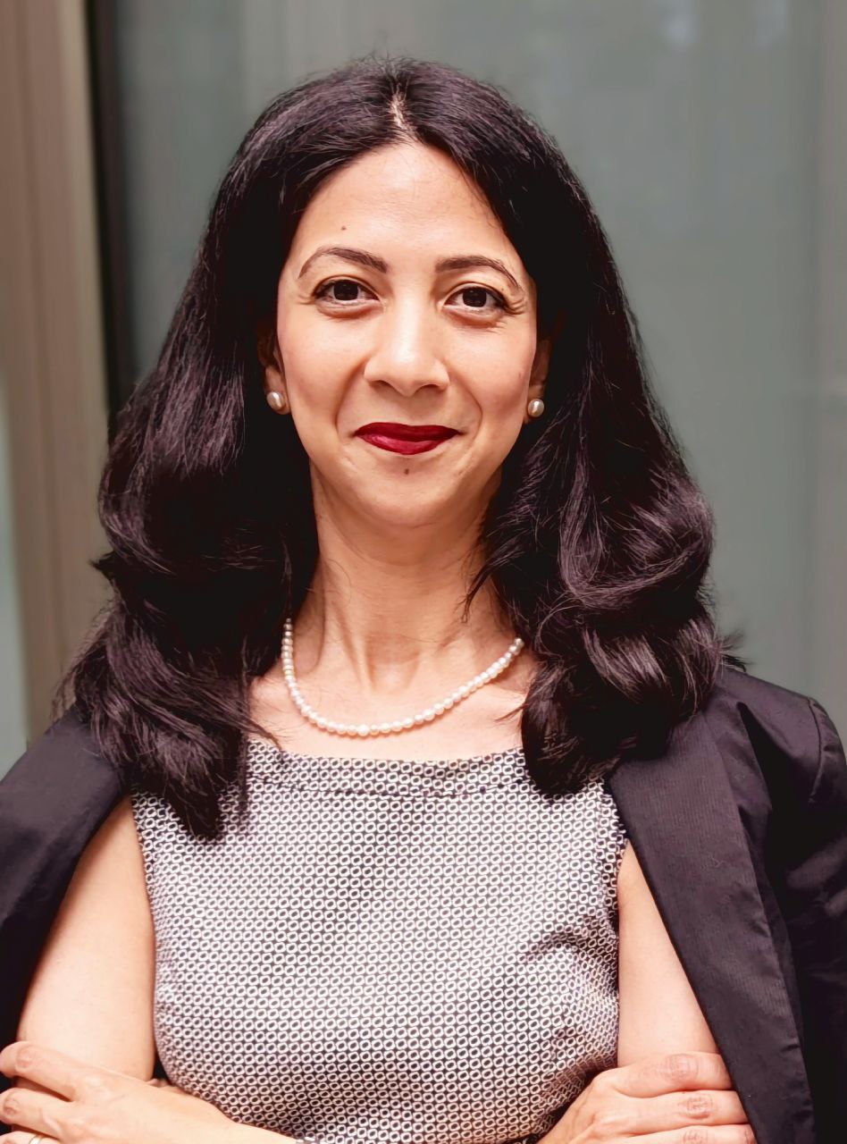 Dr. Laleh Luksch presenting professional development training